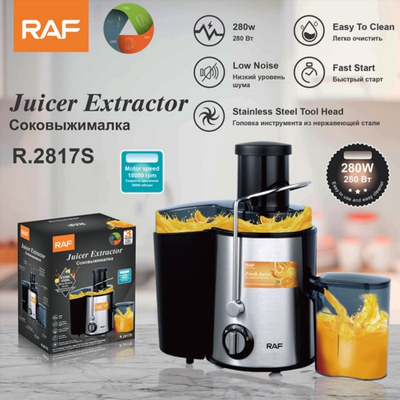 RAF R-2817S Juice Extractor | عصارة فواكه وخضروات كهربائية ستانلس ستيل